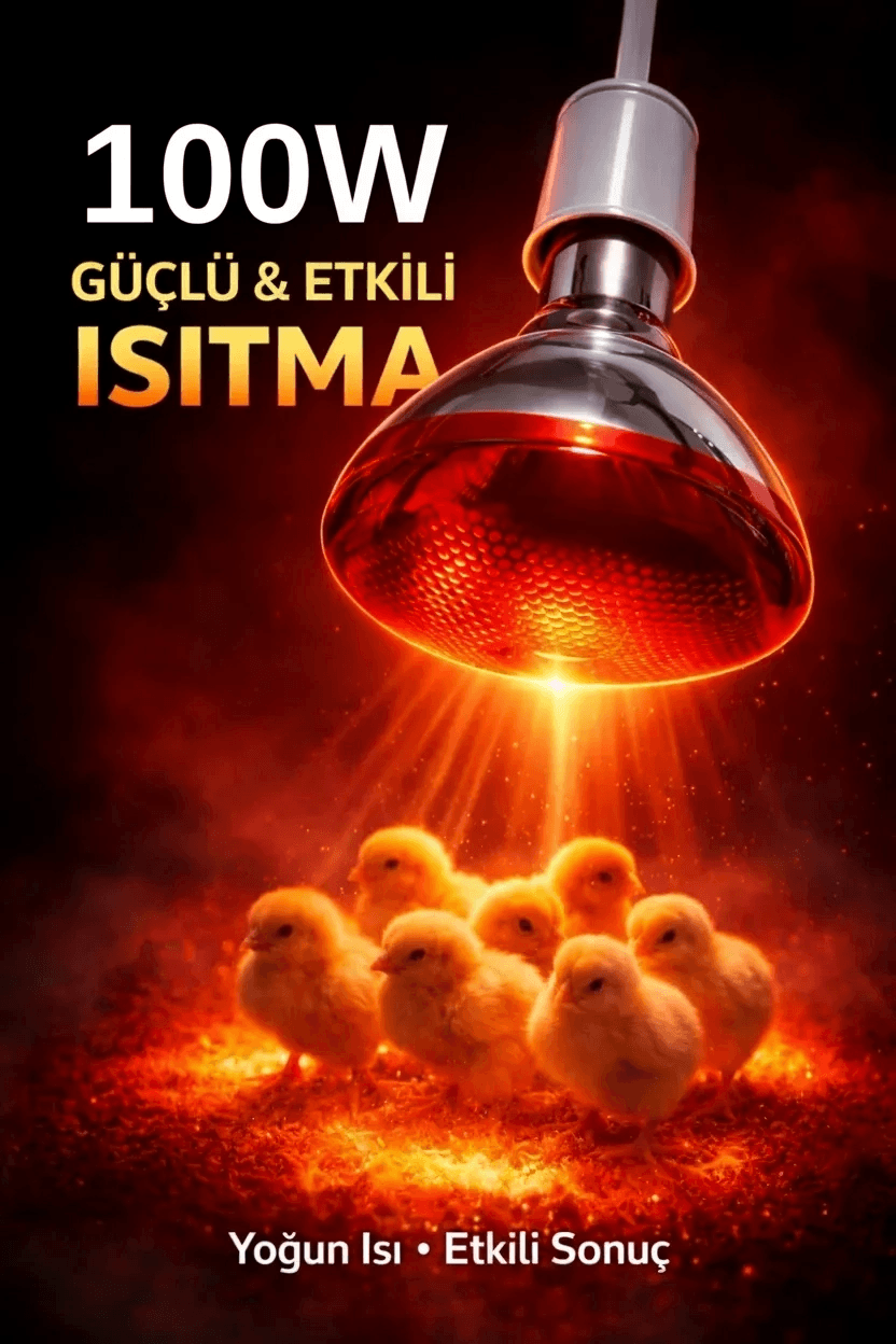 100w Isıtıcı Ampul Kırmızı Isı Lambası Civciv Kümes Kuluçka E27 Duy Isıtma Ampulü